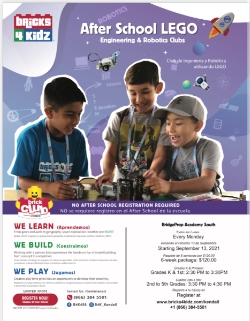 After School Enrichments: Bricks 4 Kidz